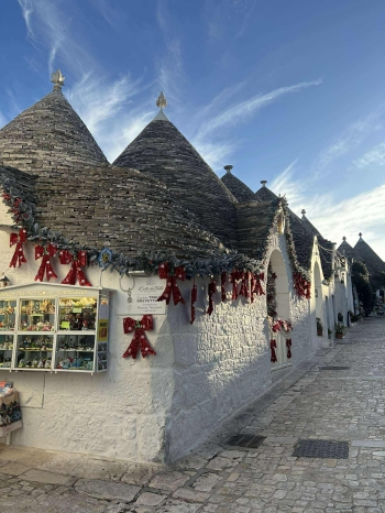 592303851_1482132590200516_6319586250126684077_n